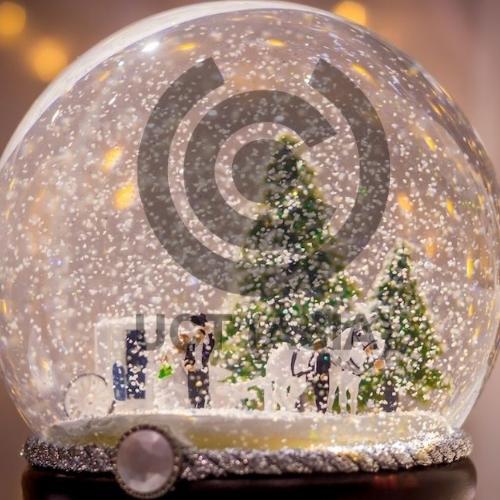 Customized Snow globe