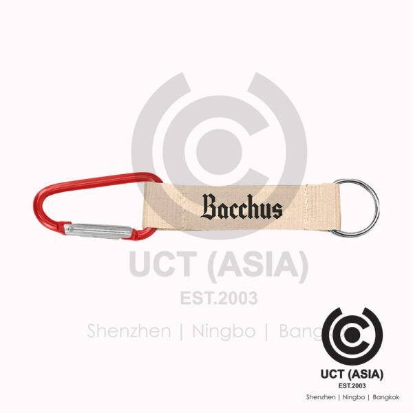 Bacchus RPET Keyring with Carabiner